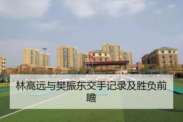 林高远与樊振东交手记录及胜负前瞻